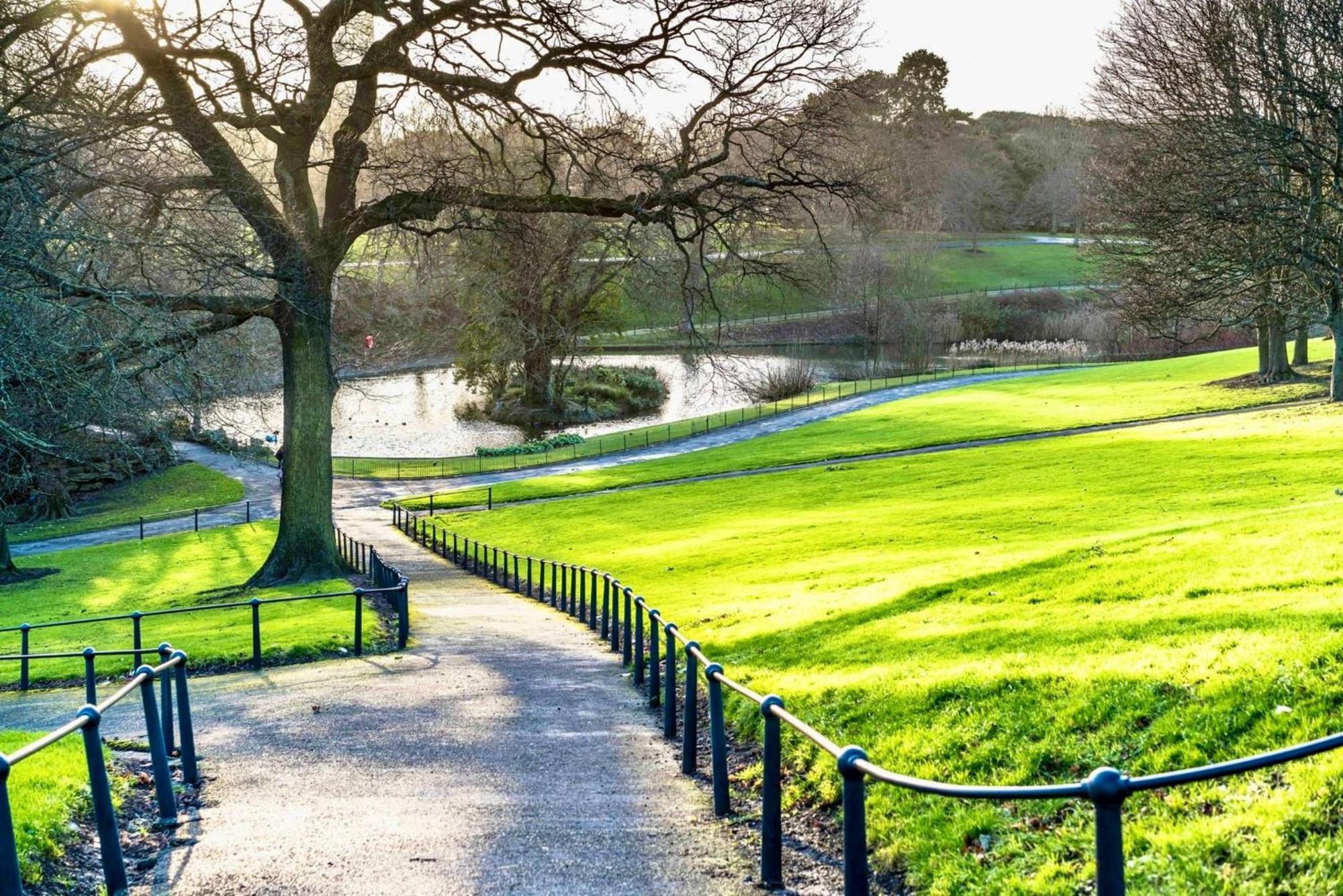 The Garden Luxe Retreat Homestay Dublin