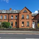 Dublin Palm