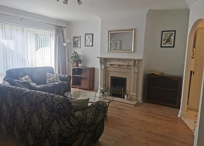 Single Room In Charming Apartment With The Terrace And The Cat In Sandymount