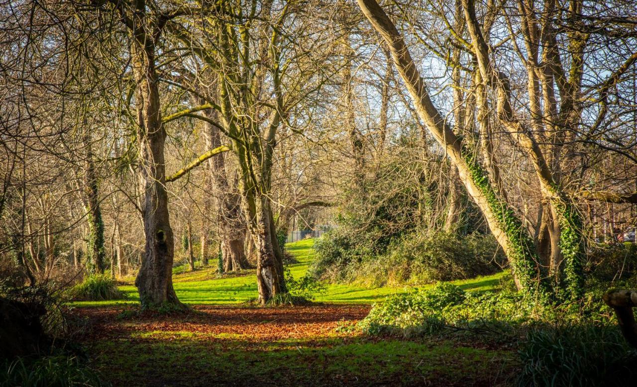 Hazelwood Short Stay Accommodation * Dublin