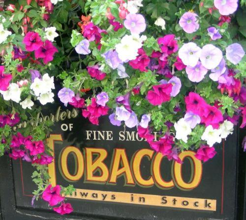 O'neills Victorian Pub & Townhouse 3* Dublin
