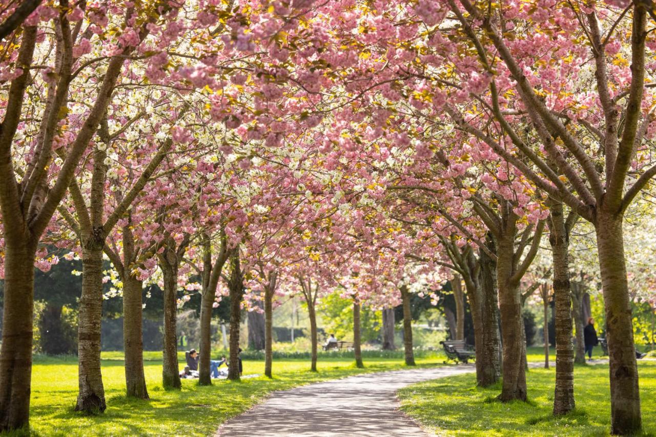 Herbert Park And Park