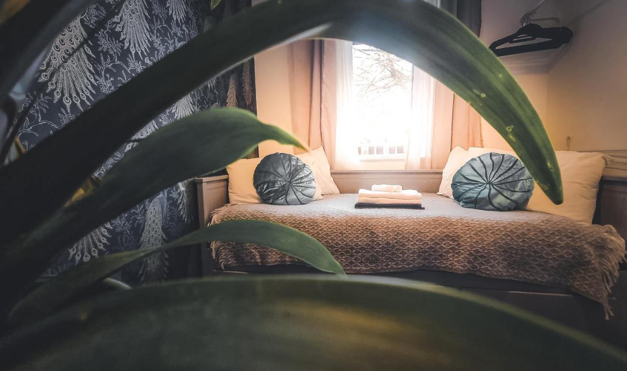 Homestay Whole Stylish 1880s Guinness Worker House Dublin