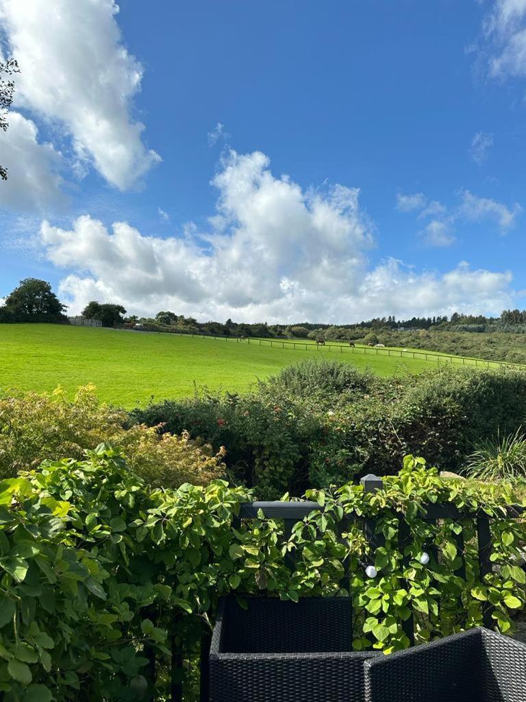 Luxurious South * Dublin