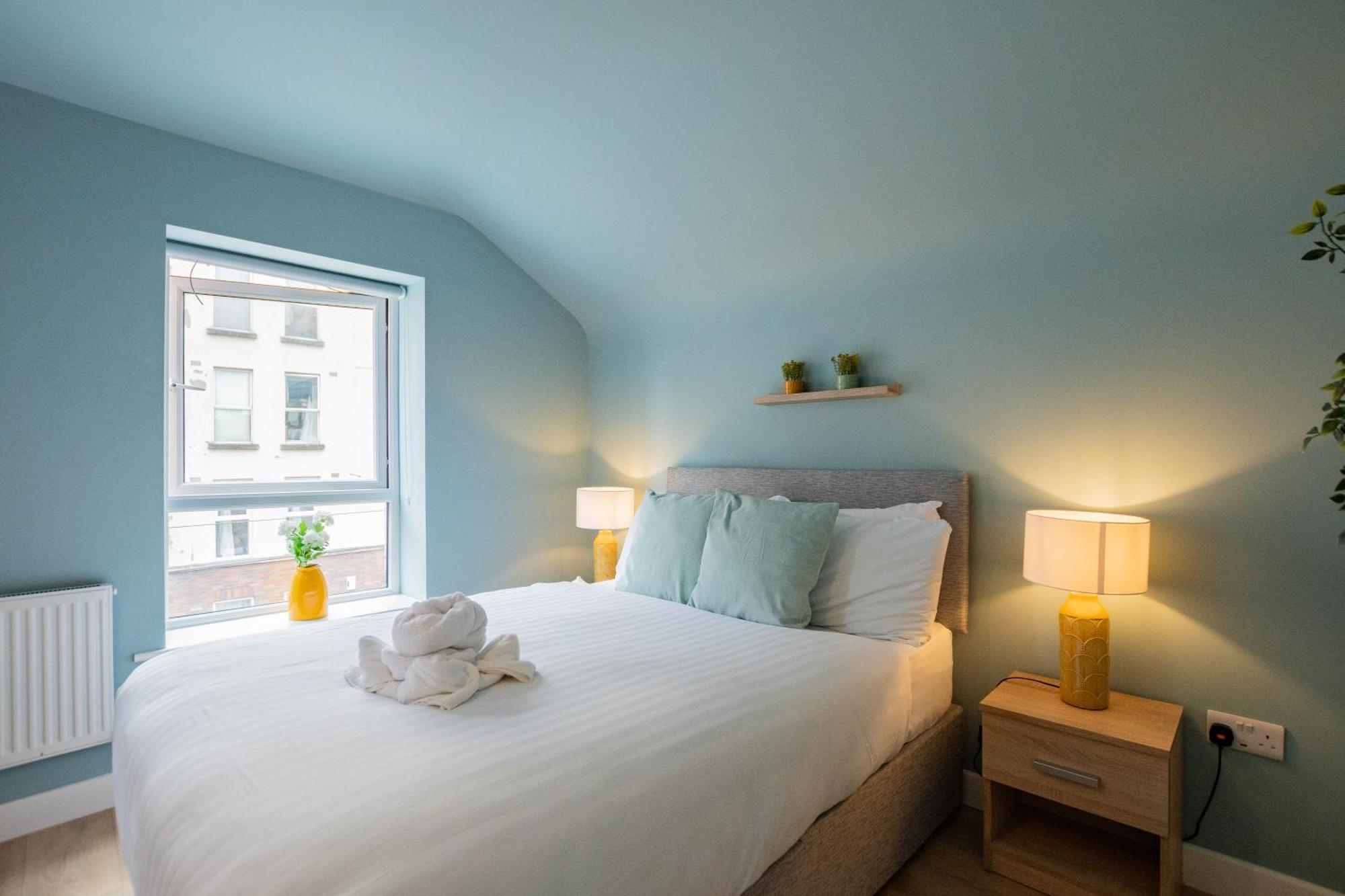 The Large Group House -sleeps 21 Dublin