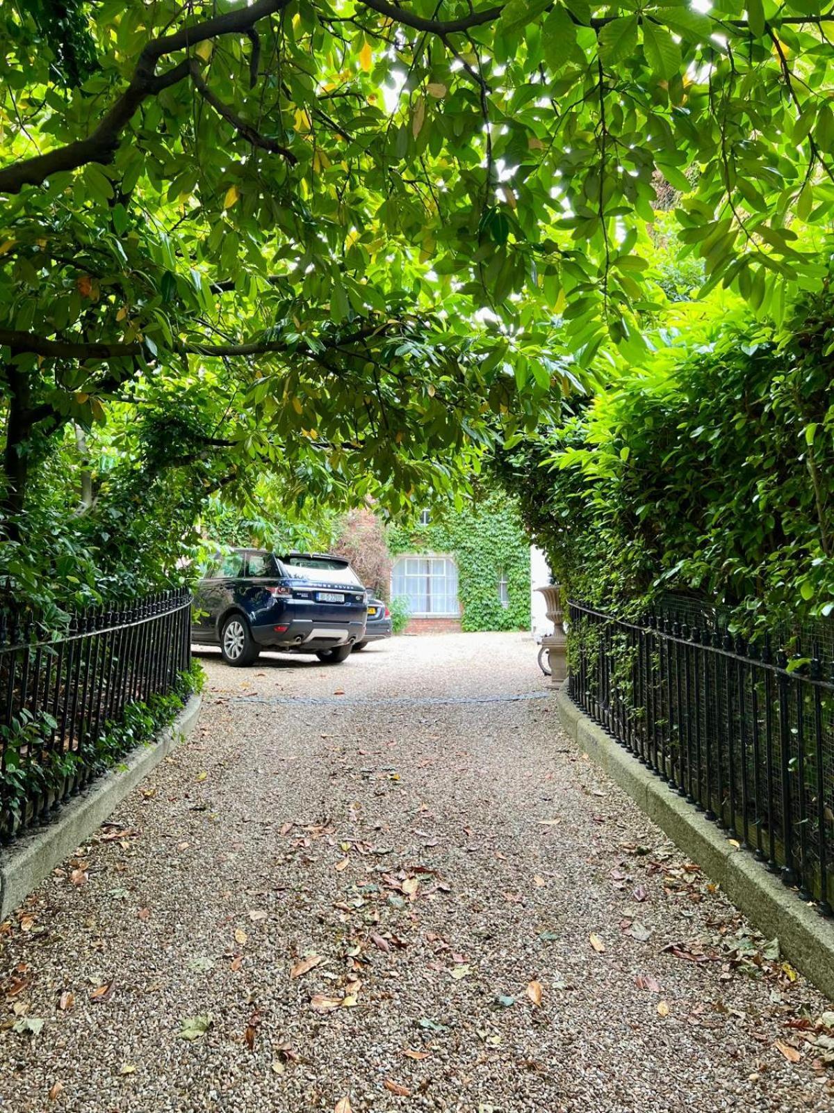 Homestay Burlington Townhouse *