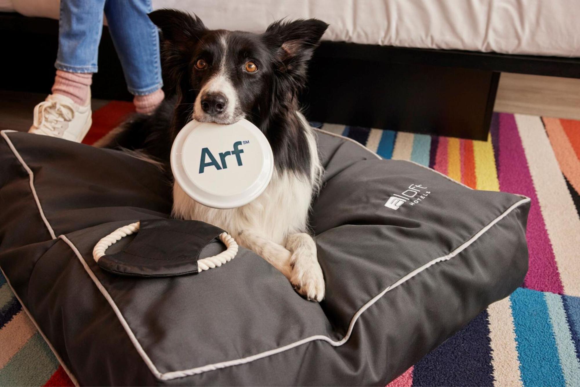 Aloft Dublin