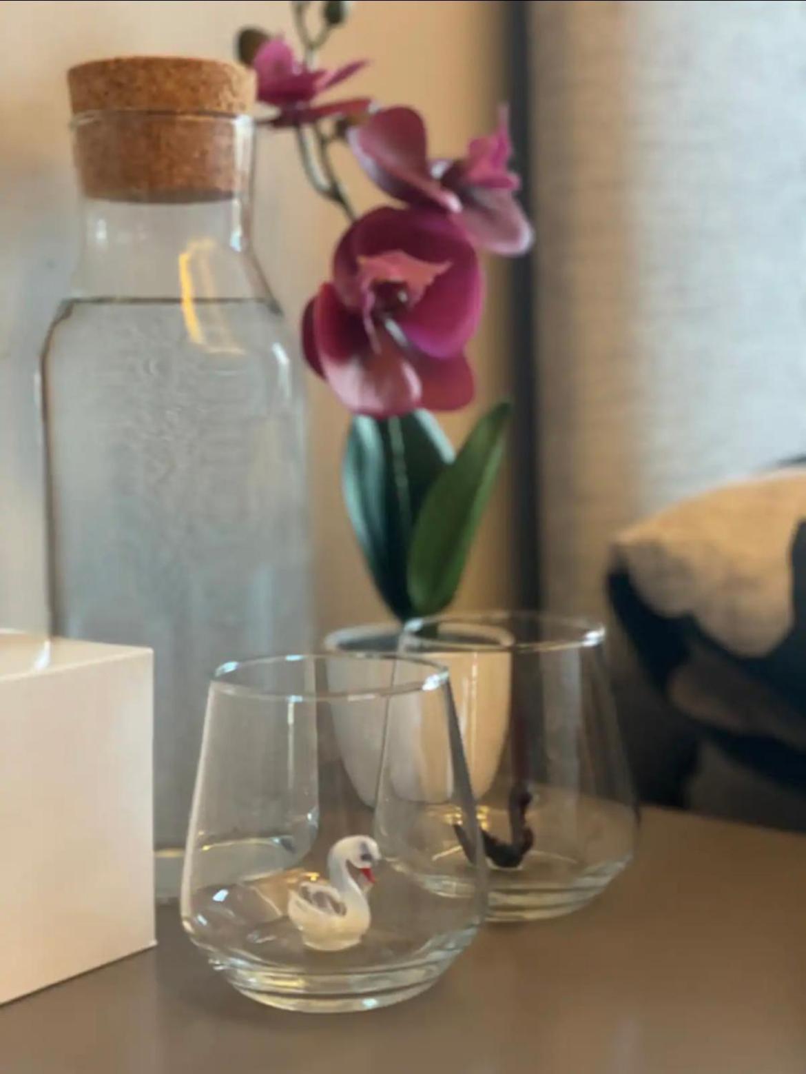 Homestay Double Incitycenter-15min Walk To Templebar Dublin