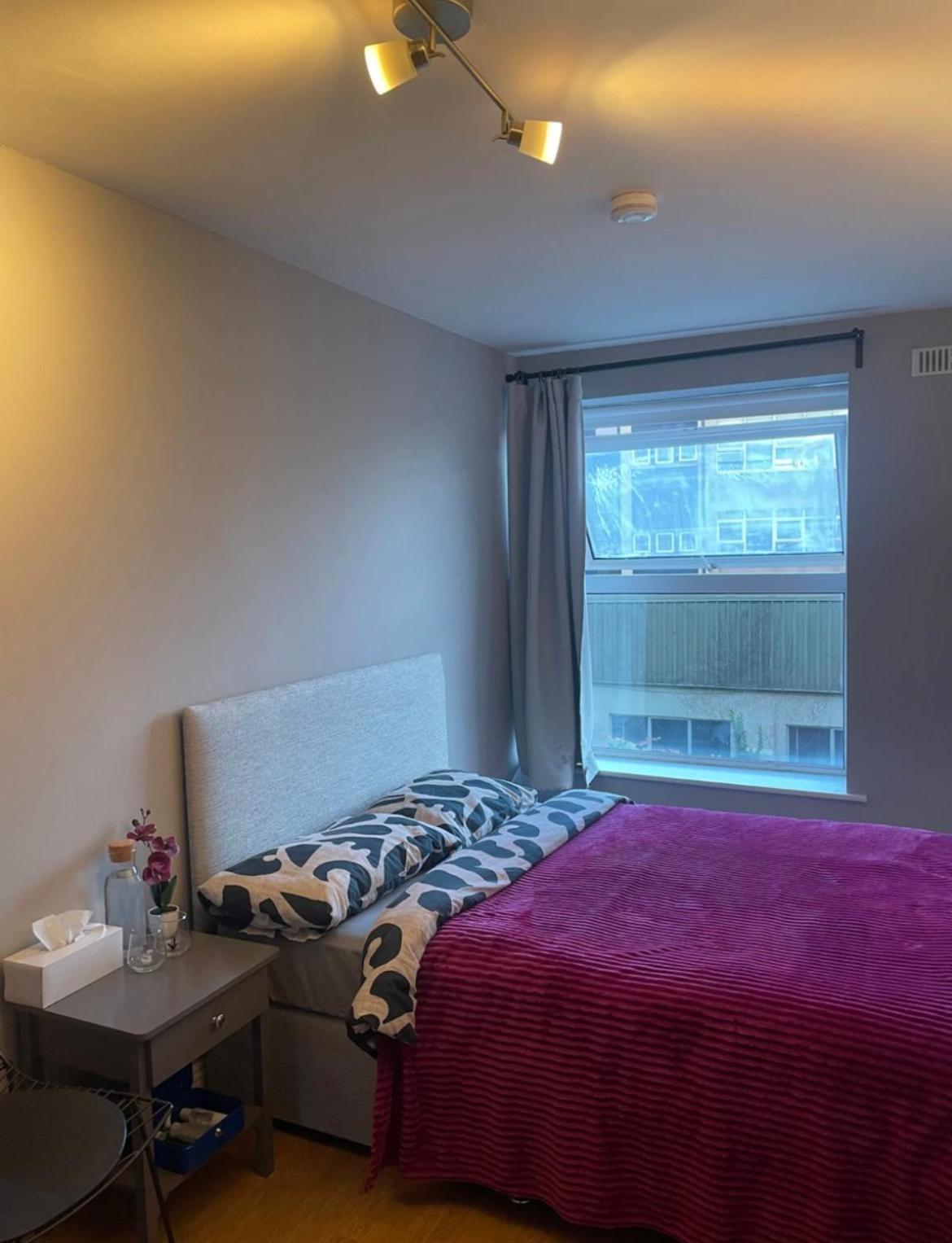 Double Incitycenter-15min Walk To Templebar