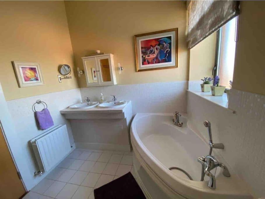 Seaview Luxury Penthouse Sleeps 6 Dublin