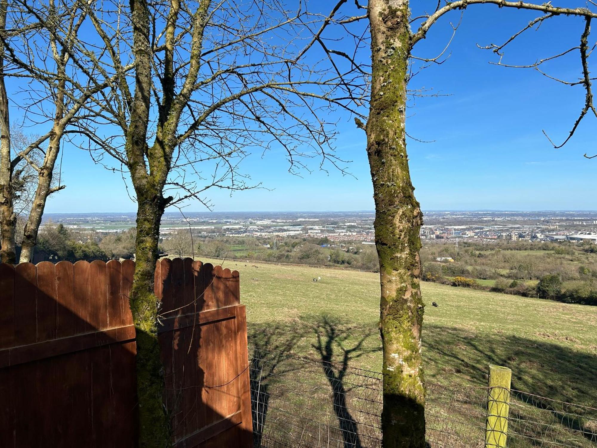 Sky Gazer In The Woods Holiday home Dublin
