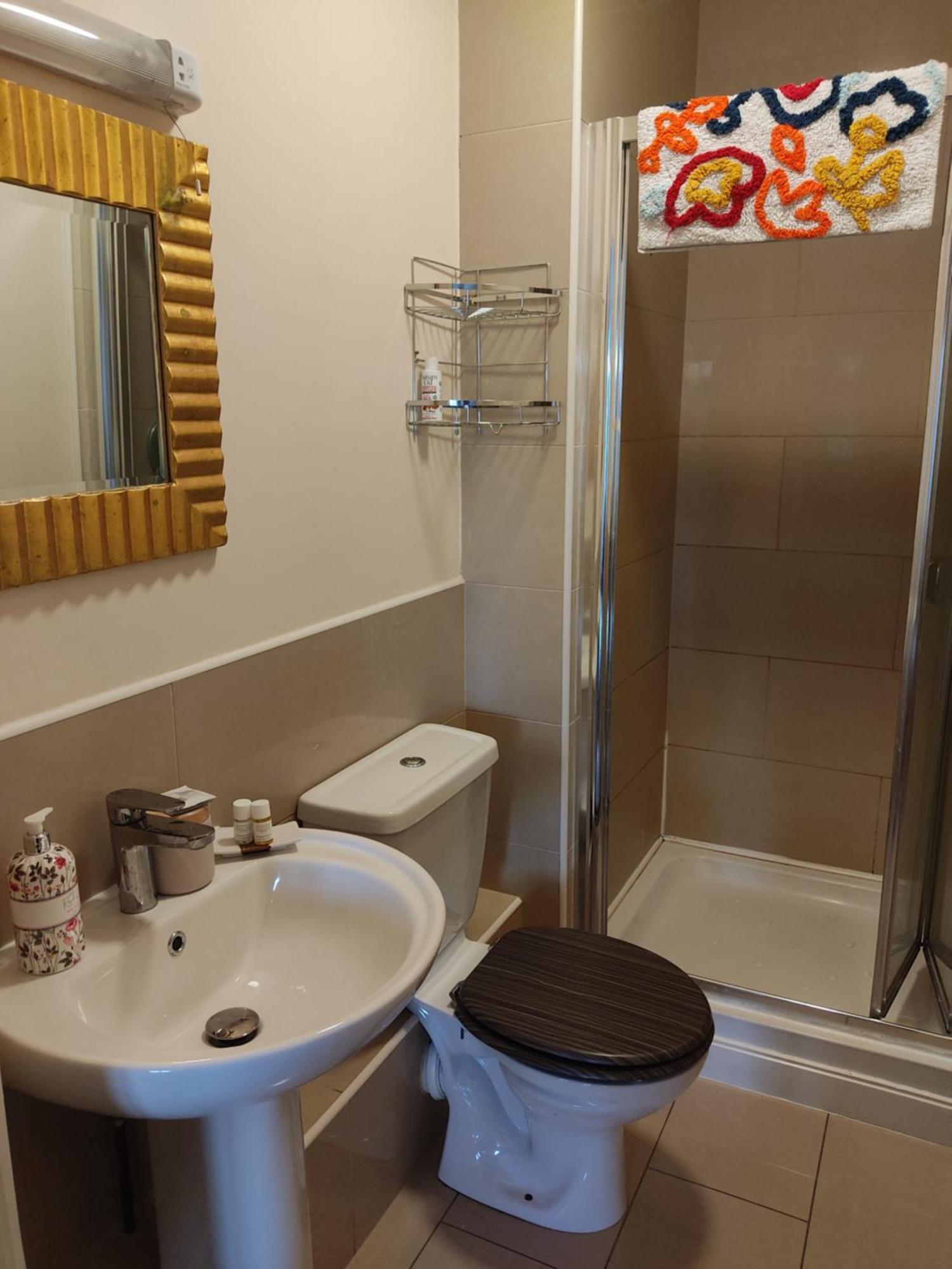 Swallows Nest - Spacious Bright Double Bedroom With Ensuite Bathroom Homestay Dublin