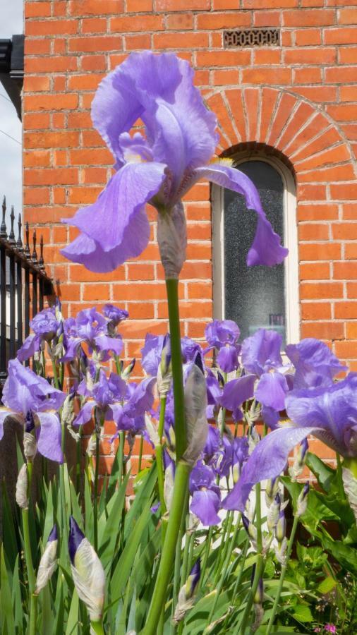 Botanic View Bed & Breakfast