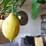Luxurious Newly Renovated Apartment