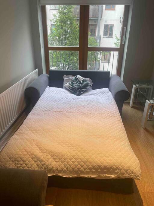 In Dublin's Tourist Spot Temple Bar Fully Renovated Apartment