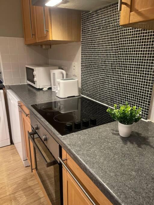 Apartment In Dublin's Tourist Spot Temple Bar Fully Renovated *