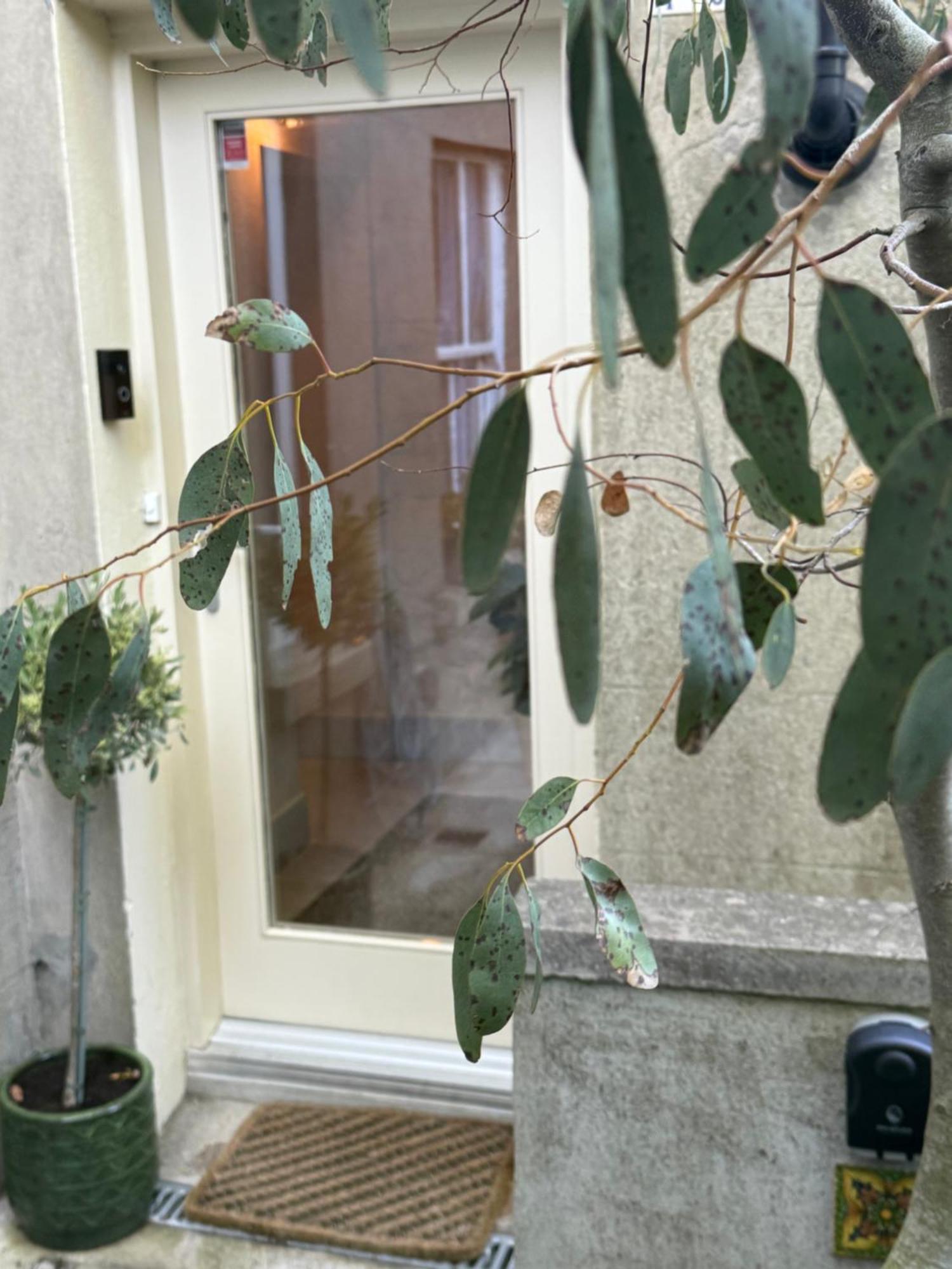 Apartment Dun Laoghaire Coastal Retreat & Hidden Getaway Dublin